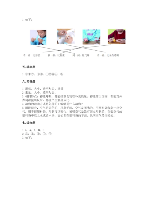 教科版小学科学一年级下册期末测试卷附参考答案【轻巧夺冠】.docx