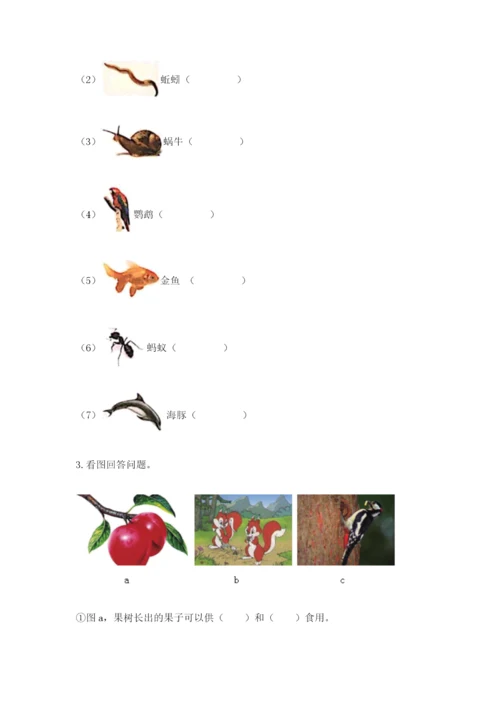 教科版科学二年级上册期末考试试卷带答案（实用）.docx