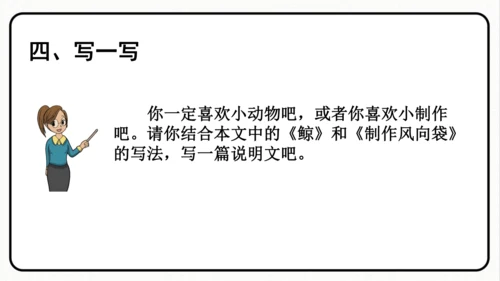 统编版语文五年级上册第五单元 习作例文《鲸》《风向袋的制作》 课件