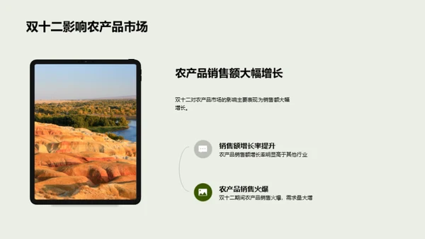 农产品双十二全面战略