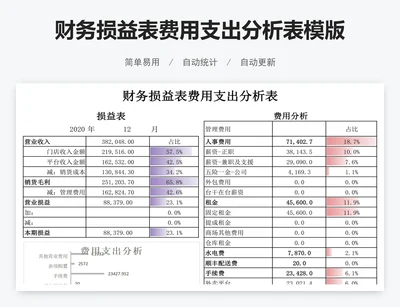 财务损益表费用支出分析表模版