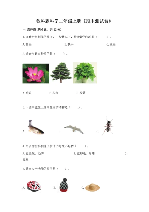教科版科学二年级上册《期末测试卷》及1套参考答案.docx