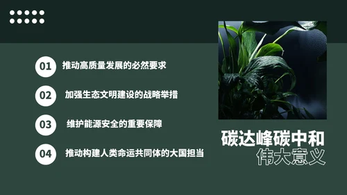 低碳经济碳达峰碳中和新理念PPT党课