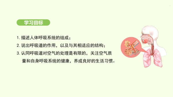 第四单元-第三章-第一节-呼吸道对空气的处理课件-2024-2025学年七年级生物下学期人教版(20
