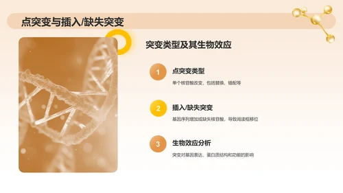 橙色3D风分子生物学PPT模板