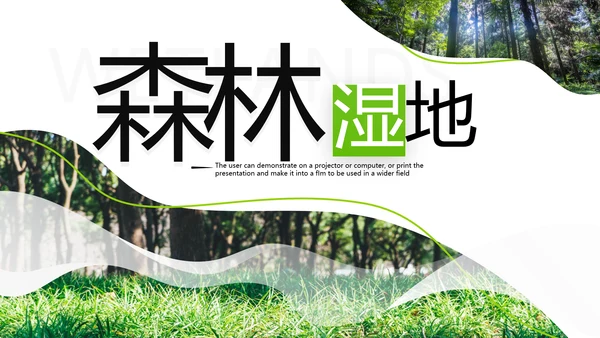 绿色环保森林湿地环境保护生态森林业PPT