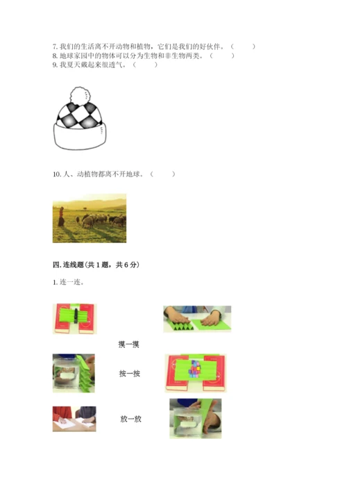 教科版二年级上册科学期末测试卷【精华版】.docx