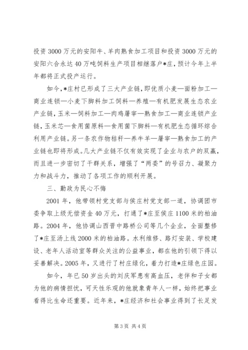 村党支部的典型事迹材料.docx