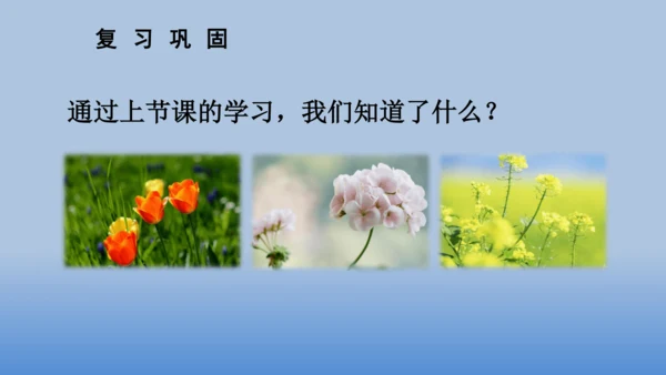 【同步课件】2.花的学校 课件（2课时）