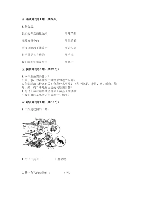 教科版一年级下册科学期末测试卷附答案（巩固）.docx