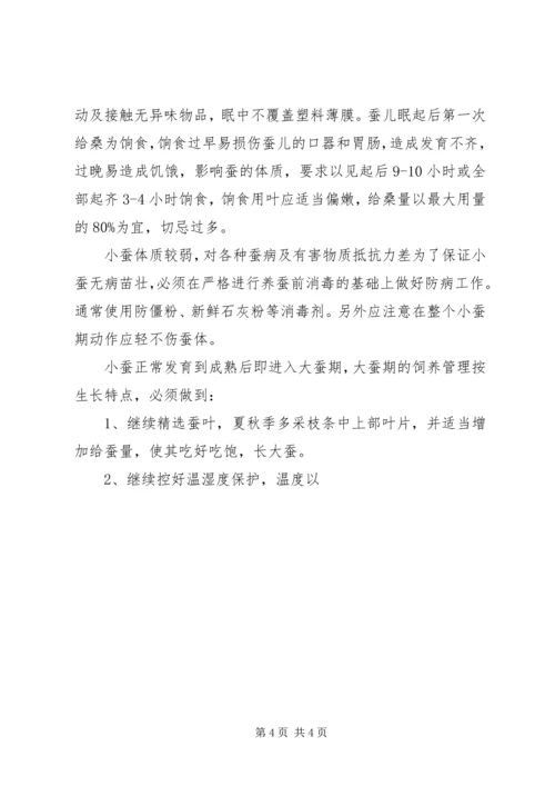 大学生暑期桑蚕区社会实践报告.docx