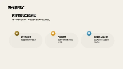 3D风教育培训教学课件PPT模板