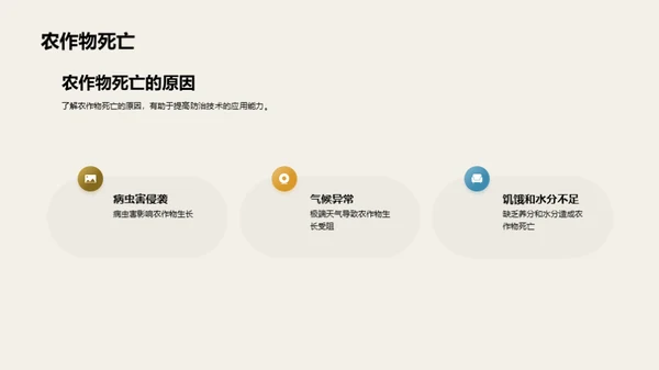 3D风教育培训教学课件PPT模板