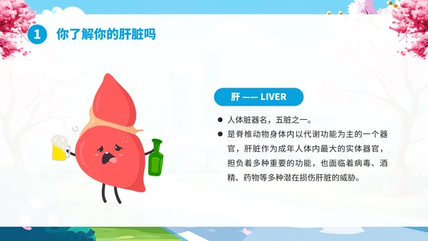 全国爱肝日肝病知识宣传PPT模板