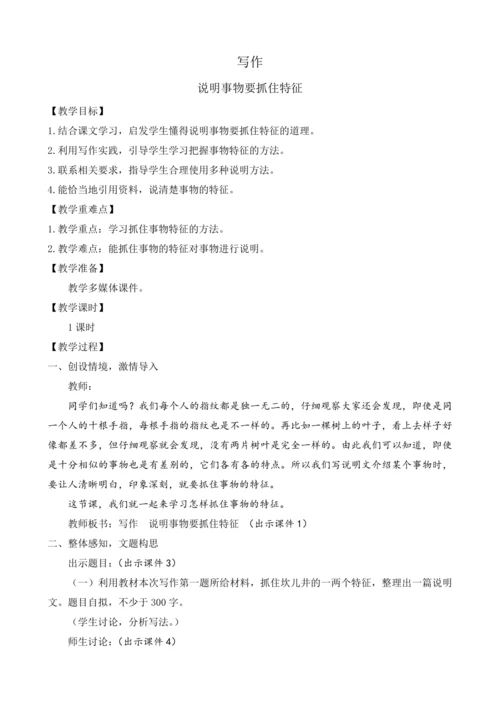 部编版八年级语文上册教案 第五单元 写作 说明事物要抓住特征