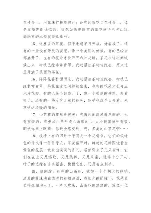 描写茶花的好词好句好段.docx