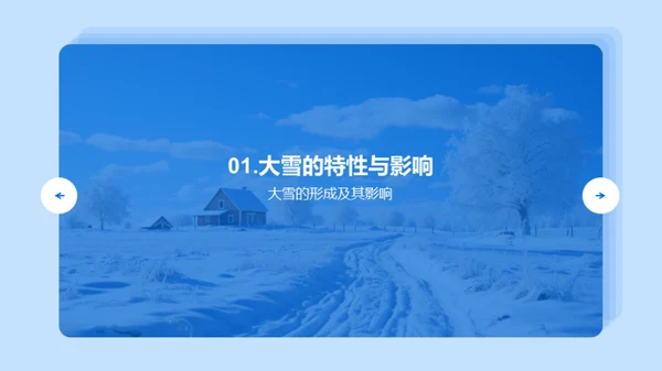 大雪对农业的影响与应对