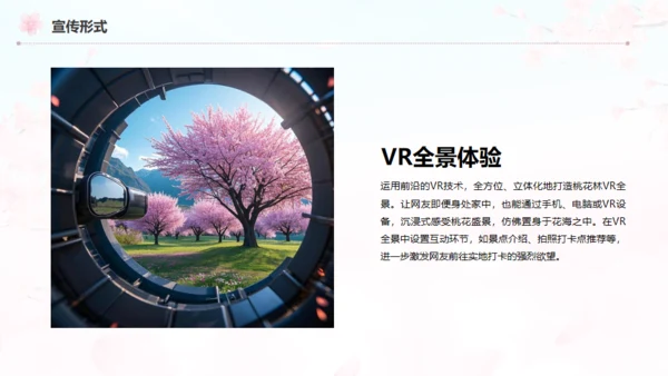 小镇桃花节策划方案通用PPT