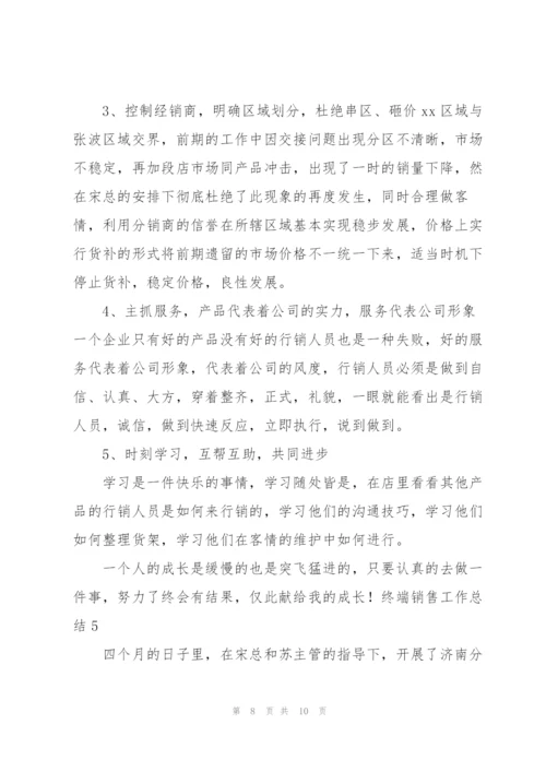 终端销售工作总结.docx