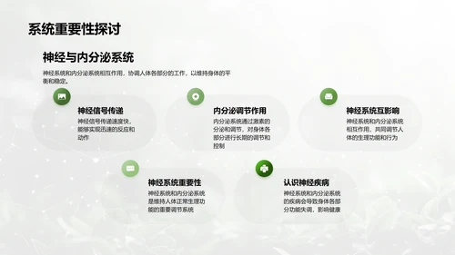人体系统协作讲座PPT模板