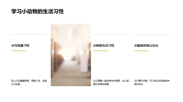 我们的小小动物园