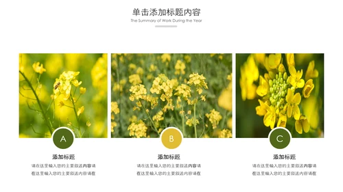 春天乡村旅游油菜花风景油菜花田PPT模板