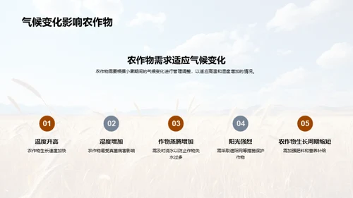 小暑气候与农业管理