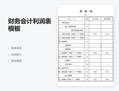 财务会计利润表模板