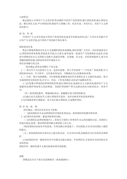 团的各类规章制度.docx