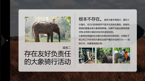 保护野生动物大象PPT模板
