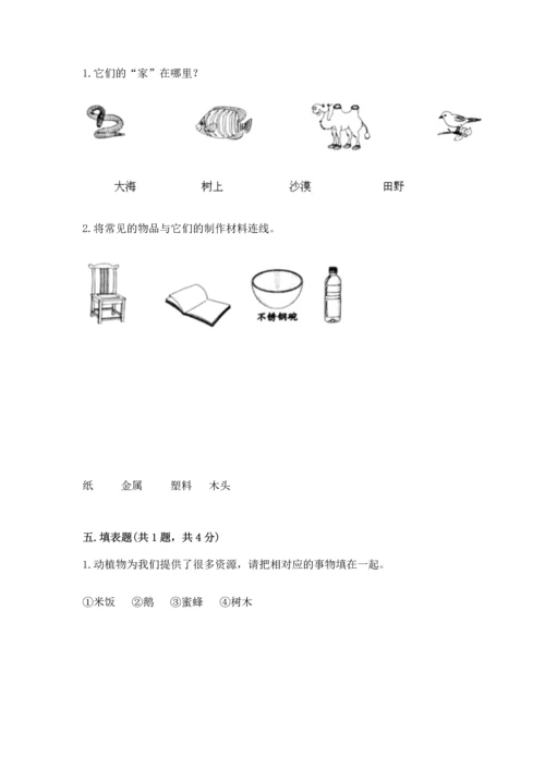 教科版二年级上册科学期末测试卷附完整答案【历年真题】.docx