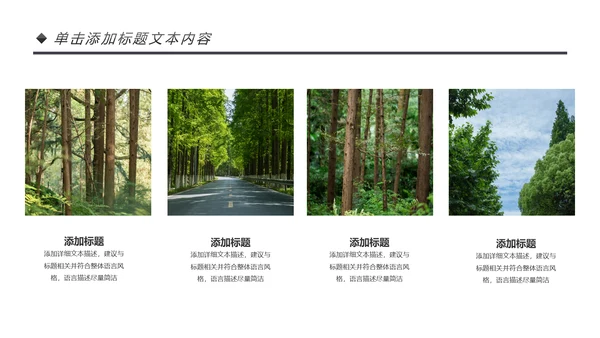 绿色清新森林环保宣传低碳日主题班会PPT模板