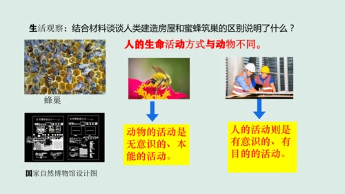 11.1   探问人生目标 课件(共22张PPT)
