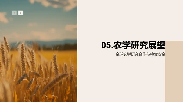 农学研究的全球影响