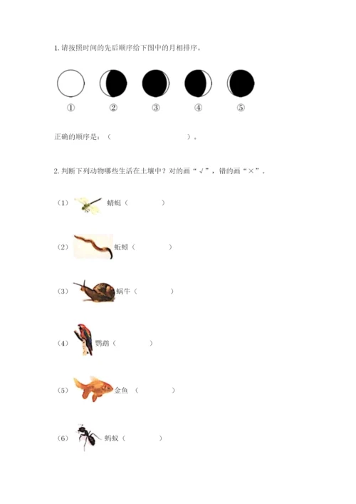 教科版小学二年级上册科学期末测试卷含答案（考试直接用）.docx