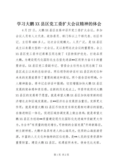 学习大鹏XX县区党工委扩大会议精神的体会.docx