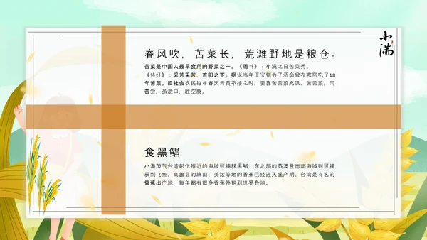 食粮丰收麦穗小满PPT模板