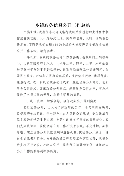 乡镇政务信息公开工作总结.docx