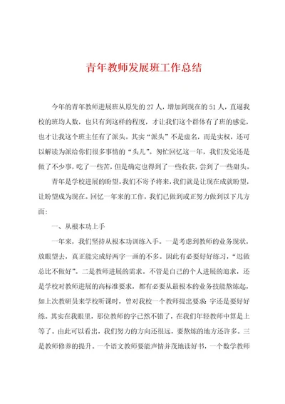 青年教师发展班工作总结