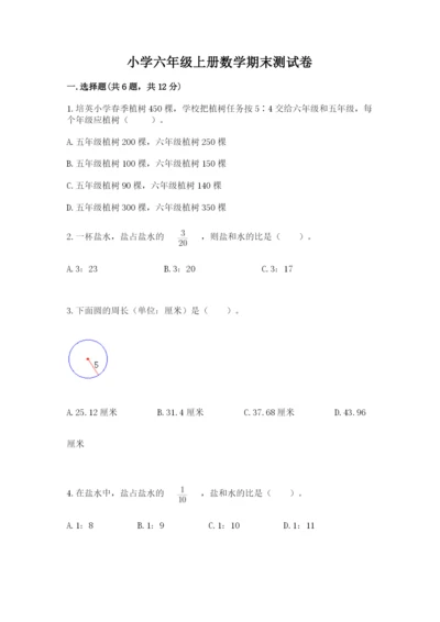 小学六年级上册数学期末测试卷附完整答案【网校专用】.docx