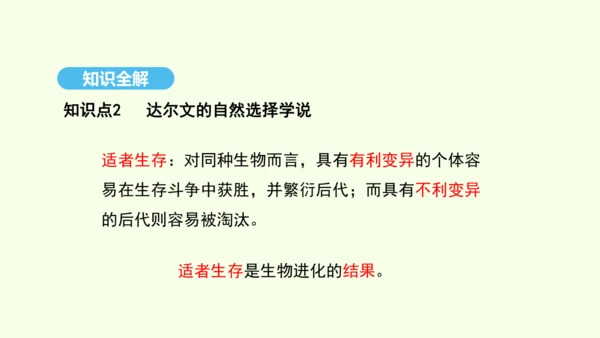 7.3.3生物进化的原因课件-人教版生物八年级下册(共37张PPT)