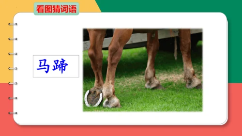 14、小马过河（第一课时)  课件