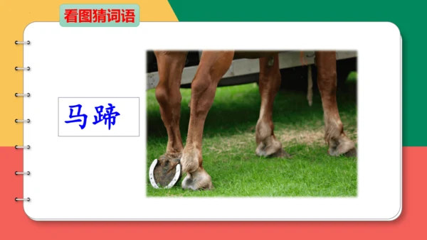 14、小马过河（第一课时)  课件