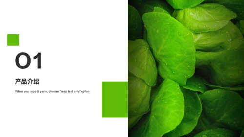 绿色商务健康食材研究报告PPT模板