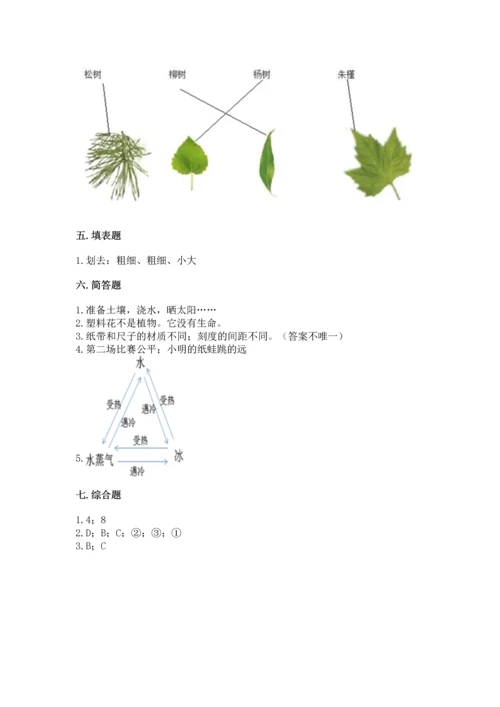 教科版一年级上册科学期末测试卷精品【巩固】.docx