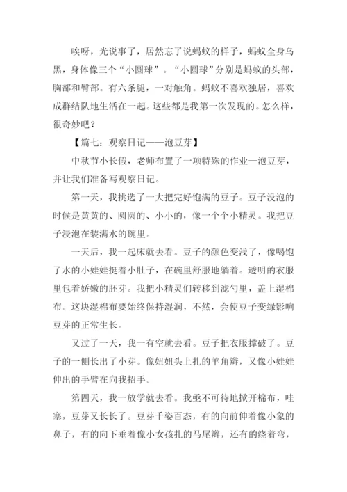小学四年级观察作文-1.docx