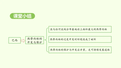 10.2.2 热带雨林的开发与保护（课件31张）-2024-2025学年七年级地理下学期人教版(20