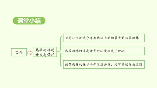 10.2.2 热带雨林的开发与保护（课件31张）-2024-2025学年七年级地理下学期人教版(20