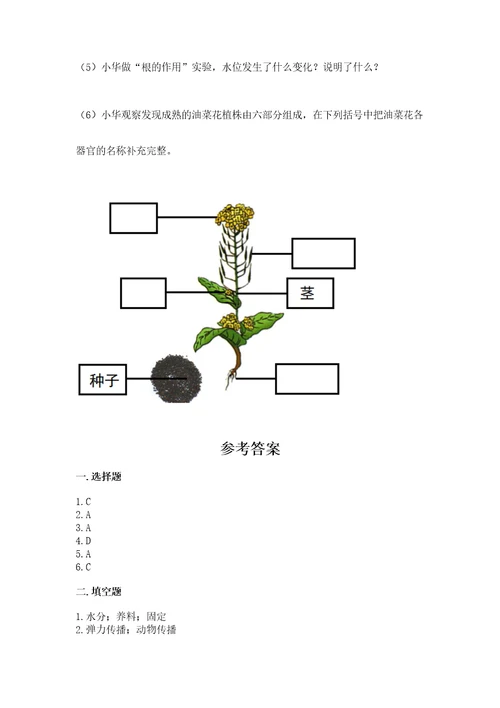 科学四年级下册第一单元植物的生长变化测试卷研优卷