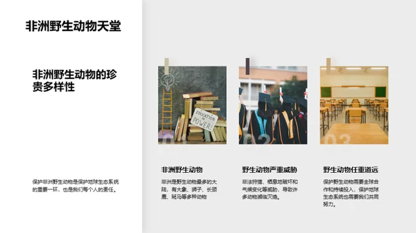 探索非洲野生动物之旅